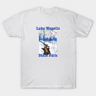 Lake Wapello State Park, Iowa T-Shirt